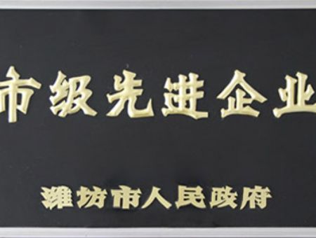 点击查看详细信息<br>标题：Municipal advanced enterprise 阅读次数：3191