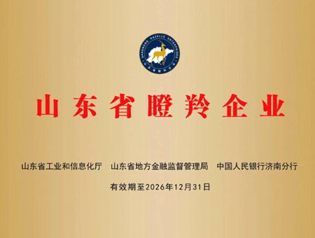 点击查看详细信息<br>标题：山东省瞪羚企业 阅读次数：1880