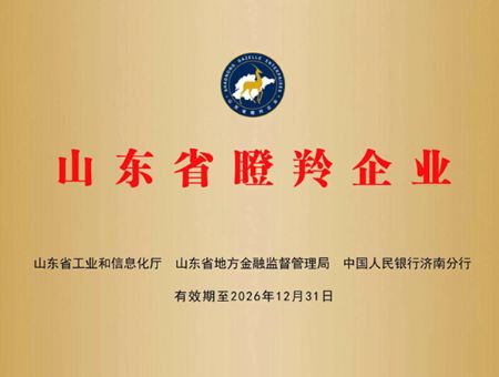 点击查看详细信息<br>标题：山东省瞪羚企业 阅读次数：259